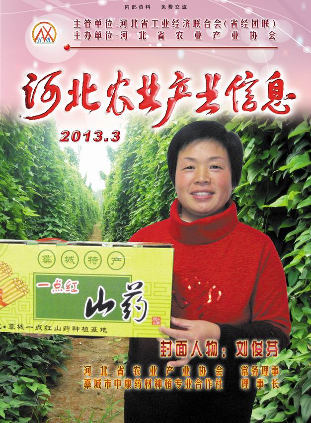 河北农业产业信息2013年第三期