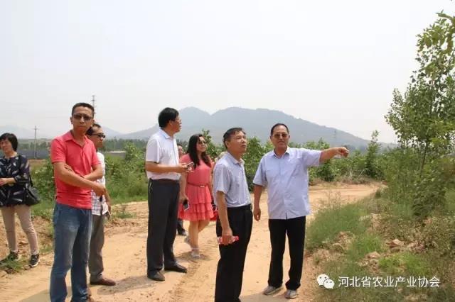 孙悦明会长调研灵寿中药材产业发展情况