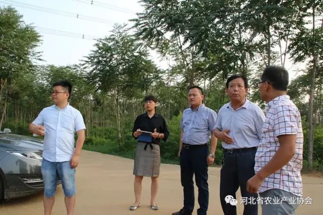 发挥专委作用，提供专业服务