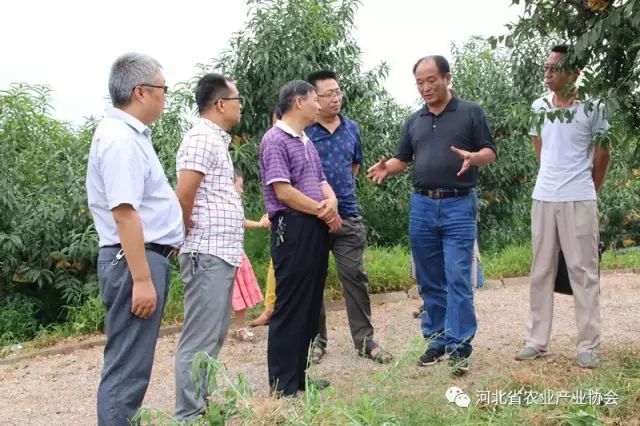协会组织媒体记者赴常务理事单位行唐县新农生态农业开发有限公司参观、交流