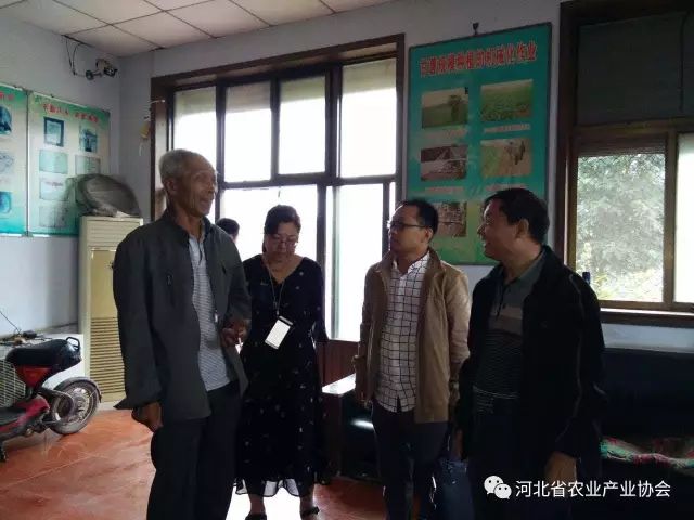 孙悦明会长等领导赴晋州听取薯业专委工作汇报， 并进行调研