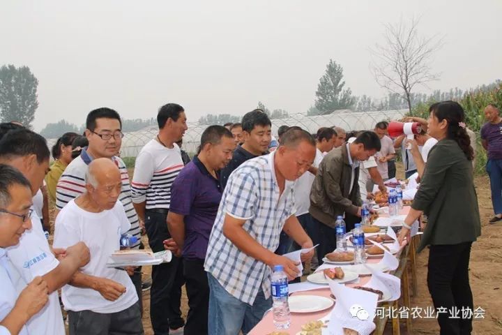 协会薯业专业委员会“甘薯新品种品鉴及轻简化高效栽培技术现场观摩会”成功举办
