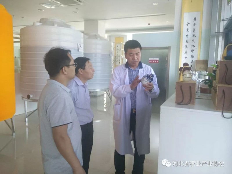孙悦明会长应邀到石家庄国莓雅洁生物实验室有限公司走访调研