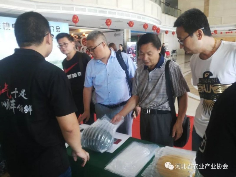 我会应邀参加2018深州鲜桃电商渠道推介会