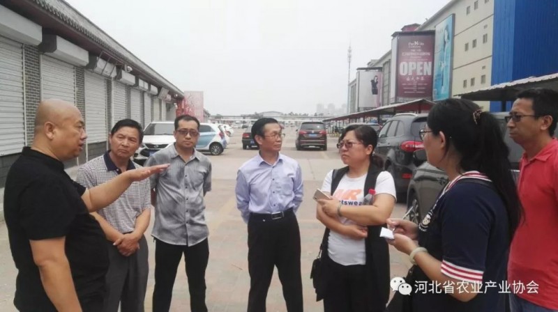 孙悦明会长带队赴天津、白沟等地进行市场考察