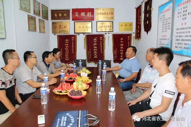 探访发展中的鲁家庄村——孙悦明会长一行深入基层开展调研