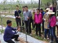 苹果拉枝有技巧，这些窍门要记牢！不懂别乱拉！