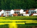 农村宅基地20问，每一问都和你有关