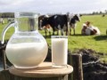 三部委解读《关于推进奶业振兴保障乳品质量安全的意见》