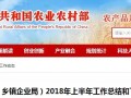 农业农村部农产品加工局：下半年要实施“四大行动”，这些产业都有发展机会！