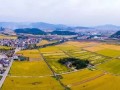 乡村振兴法已启动立法相关程序，2020年前有望发布