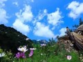 河北要建100个旅游特色小镇，有你家乡吗？