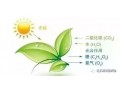 作物长不好，90%都是缺碳造成的，不信你看！