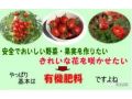 从农药减量到有机农业，日本比我们领先至少半个世纪