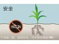 这才是肥料袋上的“关键”！