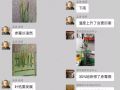 5月，让小麦减产50%的病虫都来了！抓紧防治！