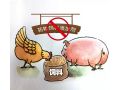 饲料“禁抗”新政出台，行业准备好了吗？
