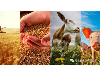 国际农业线上交流培训对接系列活动之六——为您解读俄罗斯农业