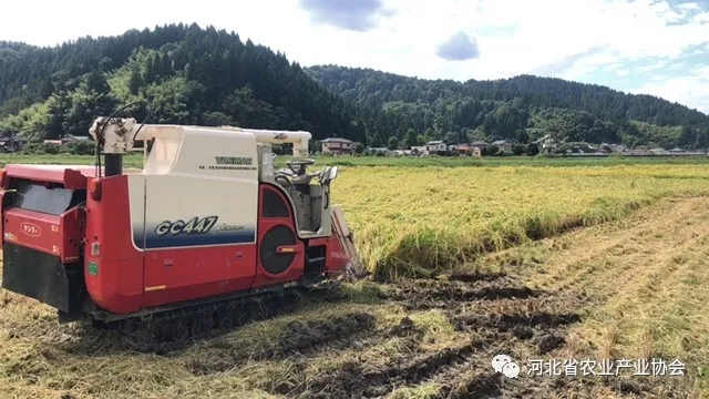 2020石家庄·国际农业技术交流对接系列活动之九——带您了解日本有机种植技术