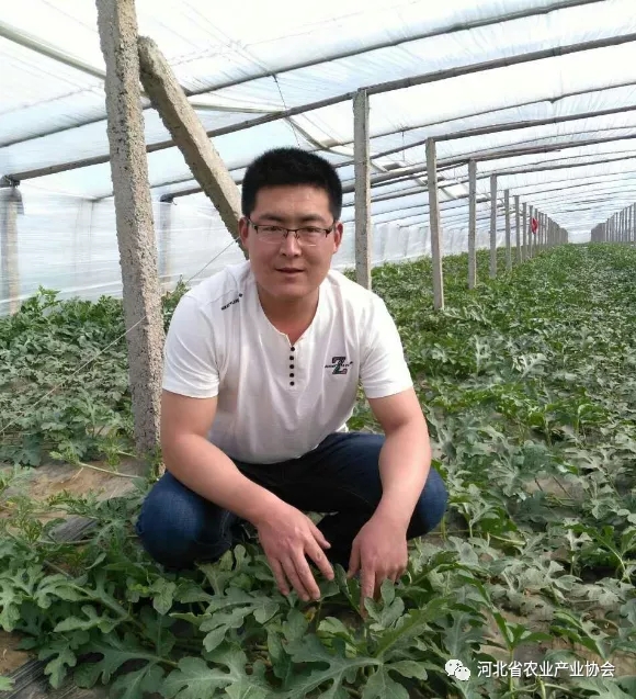 “红姐”——田埂上最亮的仔