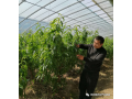 扎根设施农业，一路勇敢前行