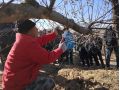 果园冬管抓重点，来年有望夺高产！