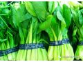 春季油菜管理技术建议