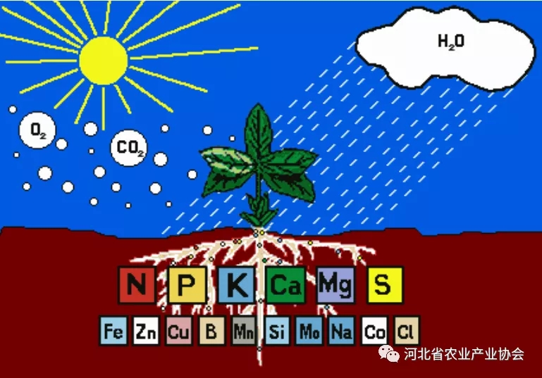 2021石家庄 • 国际农业交流对接系列活动之二——台湾专家为你讲解微生物肥料的施用