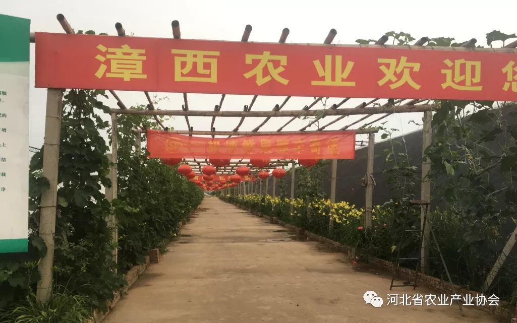 瓜果鱼乡——漳西农业