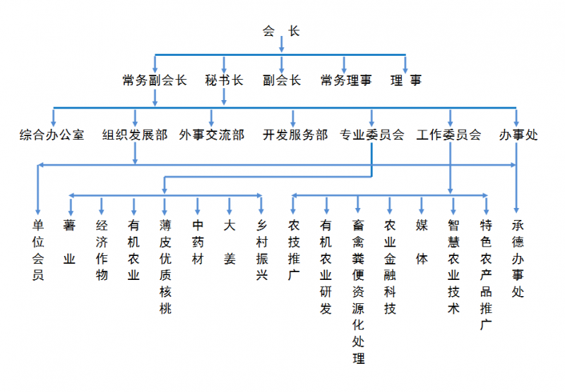 组织结构