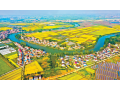 《2023中国农业农村发展趋势报告》重磅发布 建设农业强国目标