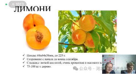 640.webp (3)