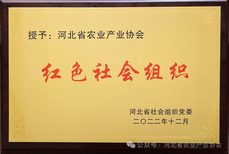 640.webp (1)