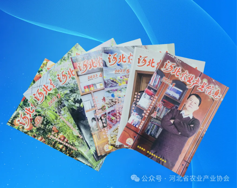 640.webp (4)