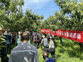 河北省农业产业协会经常性“三下乡”科普服务进宽城活动成功举办