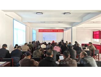 科普赋能产业 服务下沉乡村 ——麻核桃产业科普服务暨经常性“三下乡”进元氏活动成功举办