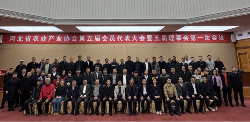 图片2_副本