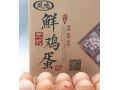 科技赋能铸精品  联农带农促振兴——凤鸣农业高质量发展纪实