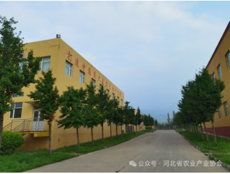 聚焦会员 助农强企——记协会副会长单位仙源（涿鹿）食品有限公司